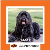 OSU Stillwater Pete's Pet Posse (P3) Photo Magnets