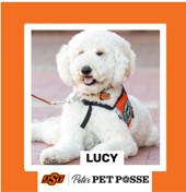 OSU Stillwater Pete's Pet Posse (P3) Photo Magnets