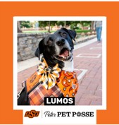 OSU Stillwater Pete's Pet Posse (P3) Photo Magnets