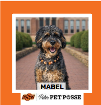 OSU Stillwater Pete's Pet Posse (P3) Photo Magnets