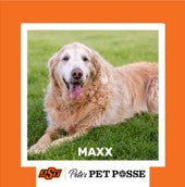 OSU Stillwater Pete's Pet Posse (P3) Photo Magnets