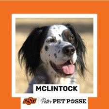 OSU Stillwater Pete's Pet Posse (P3) Photo Magnets