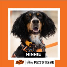 OSU Stillwater Pete's Pet Posse (P3) Photo Magnets