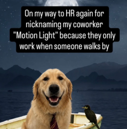 Funny Dog, Cat, Sasquatch & Sassy Saying Magnets