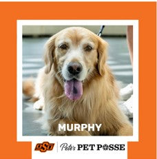 OSU Stillwater Pete's Pet Posse (P3) Photo Magnets