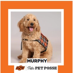 OSU Tulsa Pete's Pet Posse (P3) Photo Magnets