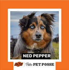 OSU Stillwater Pete's Pet Posse (P3) Photo Magnets