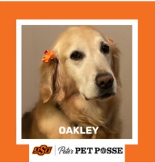 OSU Stillwater Pete's Pet Posse (P3) Photo Magnets