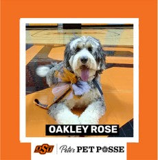 OSU Stillwater Pete's Pet Posse (P3) Photo Magnets