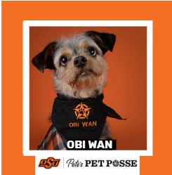 OSU Tulsa Pete's Pet Posse (P3) Photo Magnets