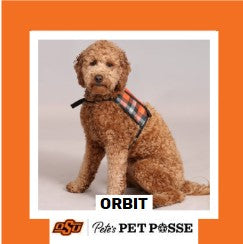 OSU Tulsa Pete's Pet Posse (P3) Photo Magnets