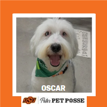 OSU Stillwater Pete's Pet Posse (P3) Photo Magnets