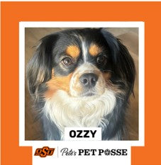 OSU Stillwater Pete's Pet Posse (P3) Photo Magnets