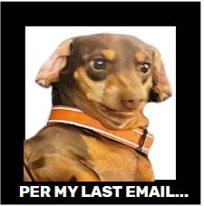 Funny Dog, Cat, Sasquatch & More! Magnets