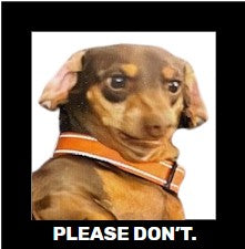 Funny Dog, Cat, Sasquatch & More! Magnets