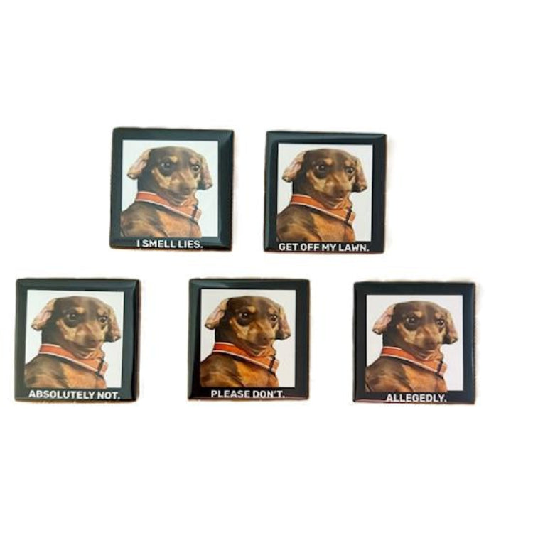 Funny Dog Magnets