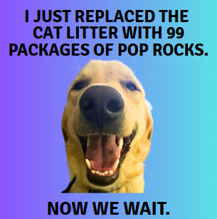 Funny Dog, Cat, Sasquatch & More! Magnets