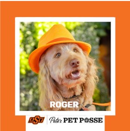 OSU Stillwater Pete's Pet Posse (P3) Photo Magnets