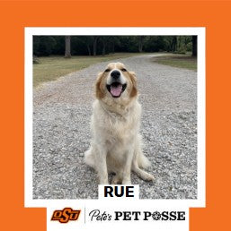 OSU Stillwater Pete's Pet Posse (P3) Photo Magnets