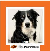 OSU Stillwater Pete's Pet Posse (P3) Photo Magnets