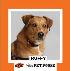 OSU Tulsa Pete's Pet Posse (P3) Photo Magnets