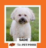 OSU Stillwater Pete's Pet Posse (P3) Photo Magnets