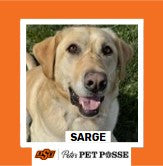 OSU Stillwater Pete's Pet Posse (P3) Photo Magnets
