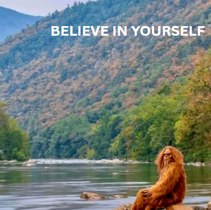 Funny Dog, Cat, Sasquatch & More! Magnets