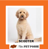 OSU Stillwater Pete's Pet Posse (P3) Photo Magnets