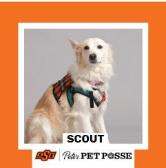 OSU Tulsa Pete's Pet Posse (P3) Photo Magnets