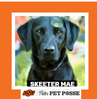 OSU Stillwater Pete's Pet Posse (P3) Photo Magnets