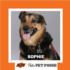 OSU Tulsa Pete's Pet Posse (P3) Photo Magnets