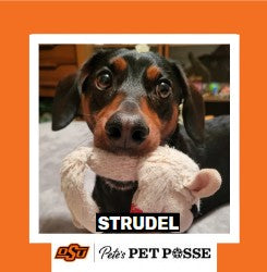OSU Stillwater Pete's Pet Posse (P3) Photo Magnets
