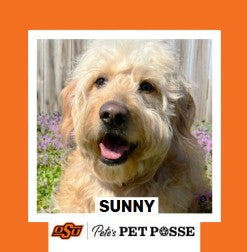 OSU Stillwater Pete's Pet Posse (P3) Photo Magnets