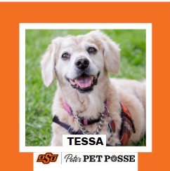 OSU Stillwater Pete's Pet Posse (P3) Photo Magnets