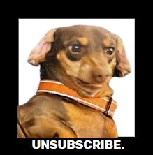 Funny Dog, Cat, Sasquatch & More! Magnets