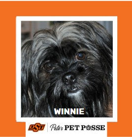 OSU Stillwater Pete's Pet Posse (P3) Photo Magnets
