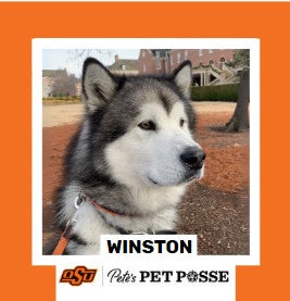 OSU Stillwater Pete's Pet Posse (P3) Photo Magnets