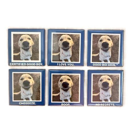 Funny Dog Magnets
