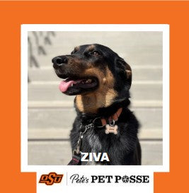 OSU Stillwater Pete's Pet Posse (P3) Photo Magnets
