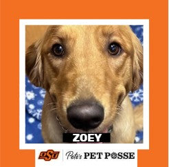 OSU OKC Pete's Pet Posse (P3) Photo Magnets