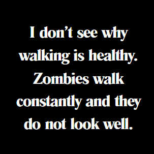 Funny Dog, Cat, Sasquatch & More! Magnets