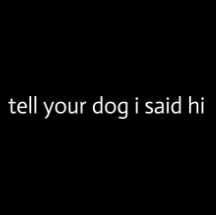 Funny Dog, Cat, Sasquatch & Sassy Saying Magnets